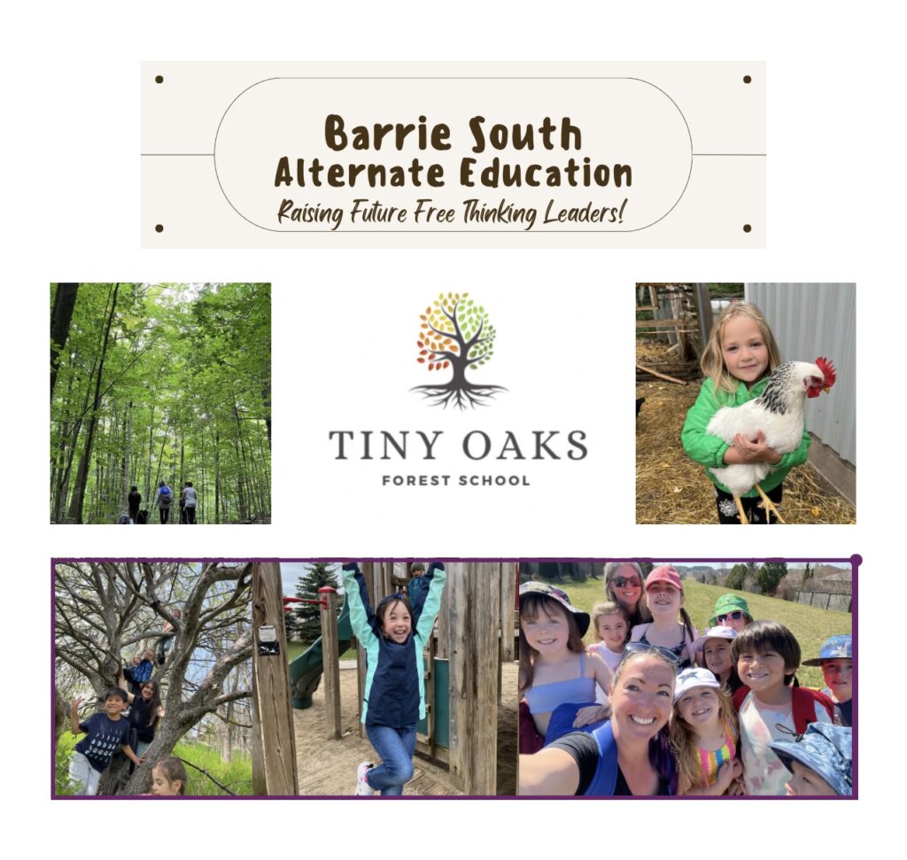 Tiny Oaks Forest School